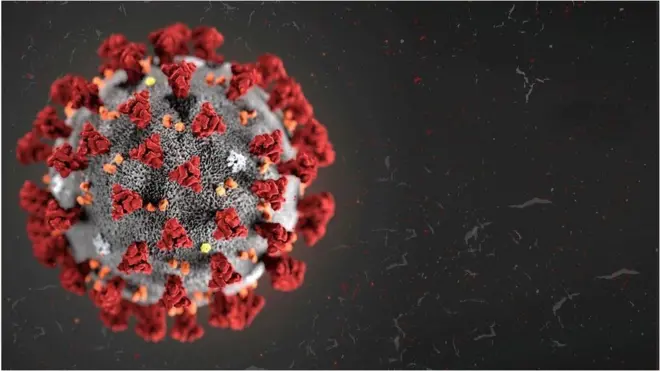 कोरोनाभाइरस