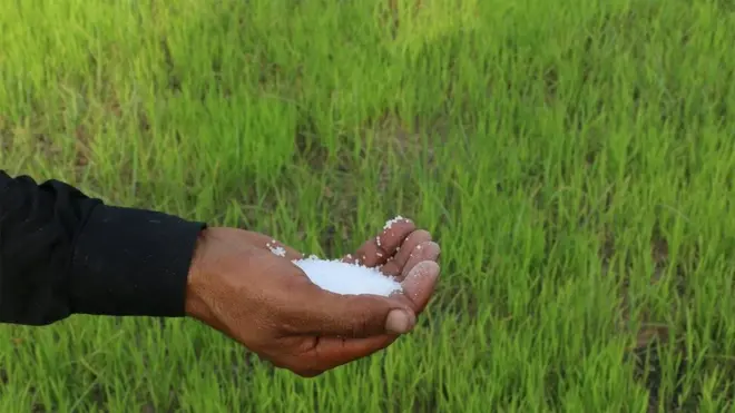 کسان، پاکستان