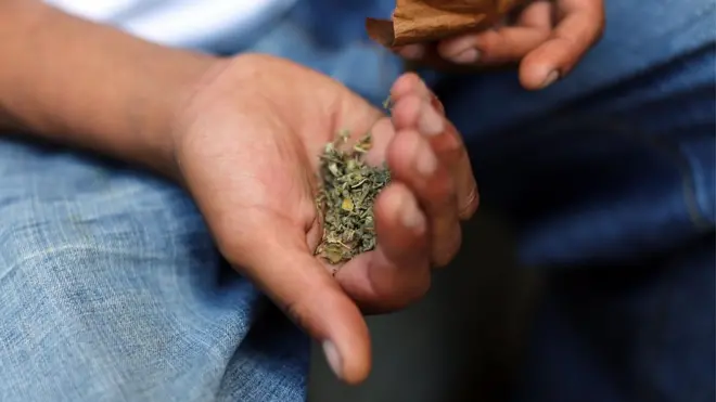 The drug is made to look like normal cannabis