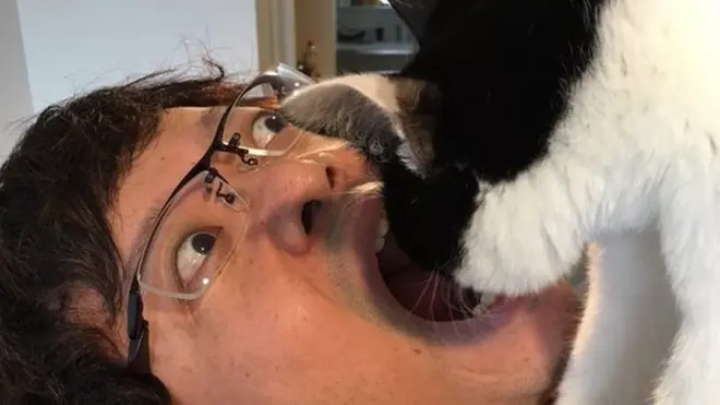 Another user felt the need to get close to his pet on Cat Day