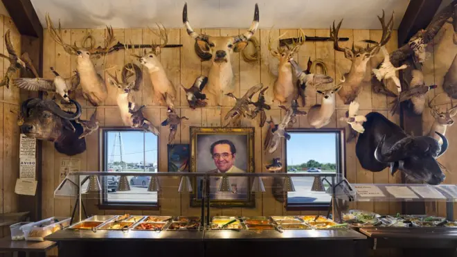 Чучела животных на стене