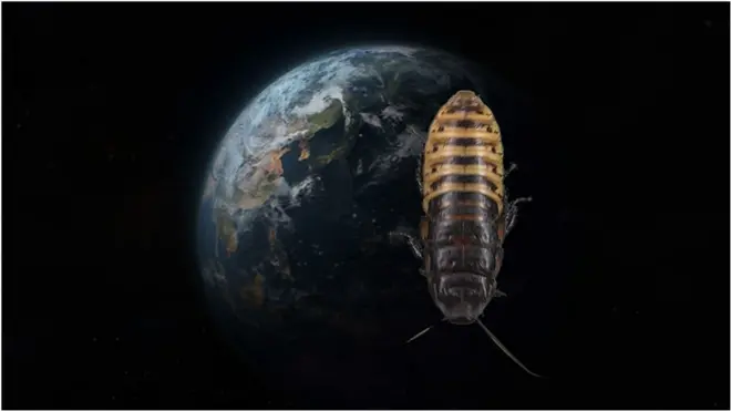 таргани наступають на Землю