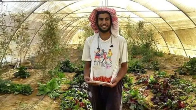 Les légumes bio poussent sans problème