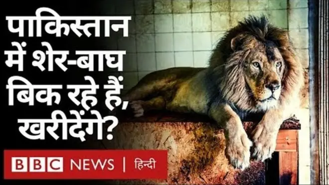 लाहौर के शेर