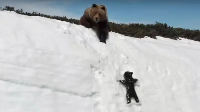 अस्वल आणि पिल्लू