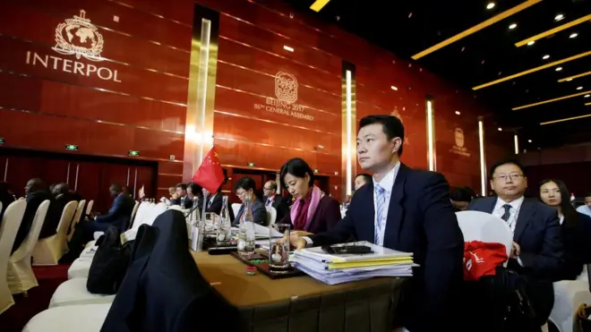 Інтерпол заявив, що заявку Палестини на членство підтримала більшість країн