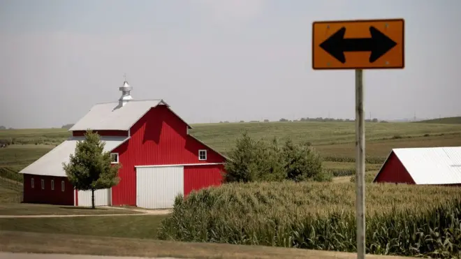Corn grows on a farm on July 13, 2018 near Amana, Iowa.