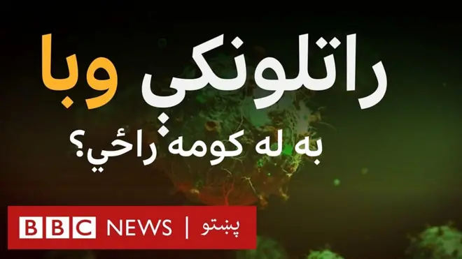 کورونا وېروس: راتلونکې وبا له له کوم ځایه راشي؟