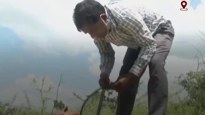 सॉफ्टवेयर इंजीनियर