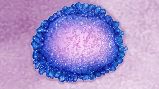 Corona virus