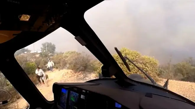 порятунок і пес