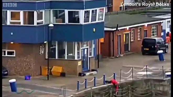 Спасение кота