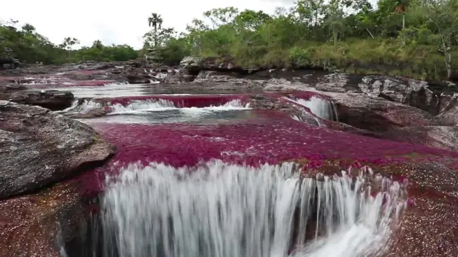 Caño Cristales