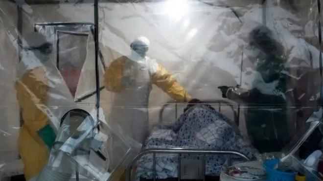 L'organistation mondiale de la Santé prévient de l'existance d'un risque élevé d'une épidémie de fièvre à virus de Marburg en Guinée