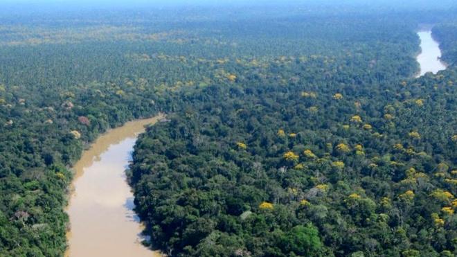 The researchers studied an area of forest in a remote corner of northeaster Peru