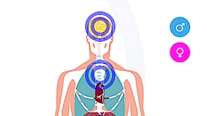 Учење о туморима по систему органа