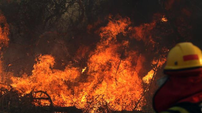 Bolivian wildfires destroy two million hectares of forest BBC News