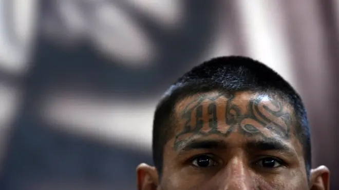 Pandillero de la Mara Salvatrucha