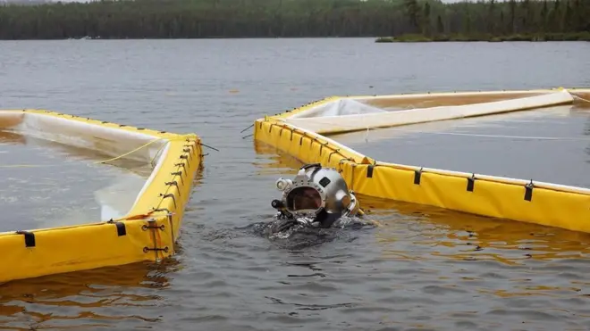 أحد الغطاسين يضع أكياس رمل تحت الماء لتثبيت الأحواض البلاستيكية المستخدمة في المشروع في مكانها