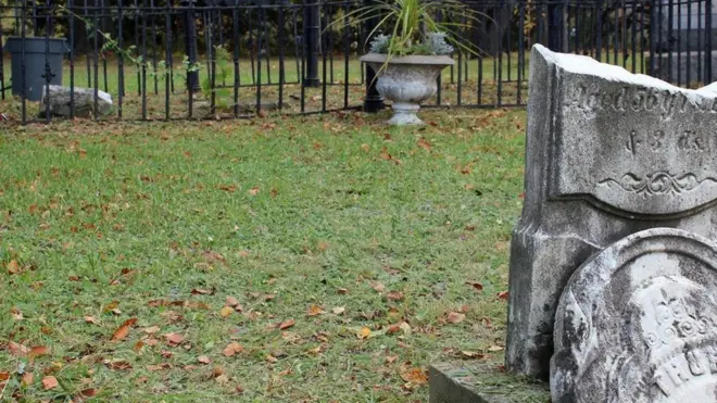 （图片来源：S.J.Velasquez）