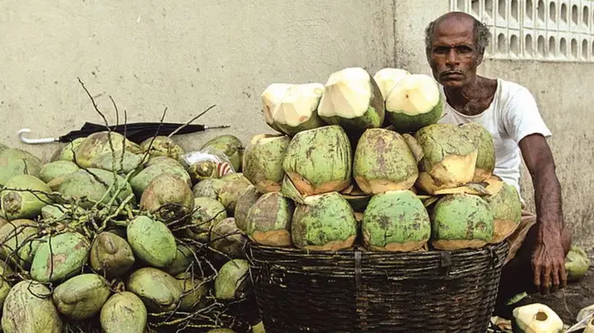 కొబ్బరి