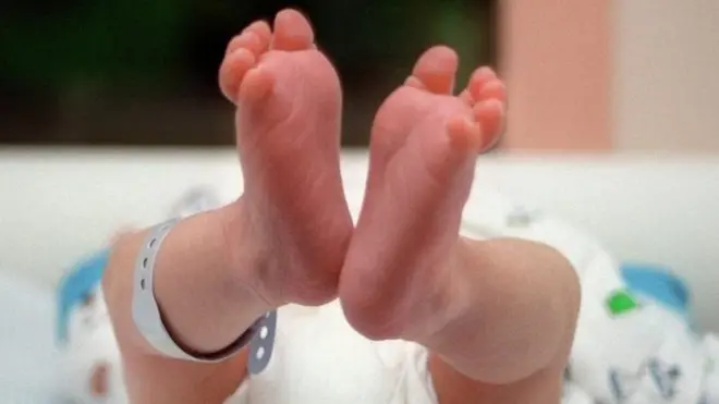 مک وہرٹر نے ٹیکس کریڈیٹس میں 14,222 پاؤنڈز، بچوں کے فوائد کے لیے 19,658 پاؤنڈز اور شوئر سٹارٹ میٹرنٹی گرانٹ کے لیے 500 پاؤنڈ کا دعوی کیا