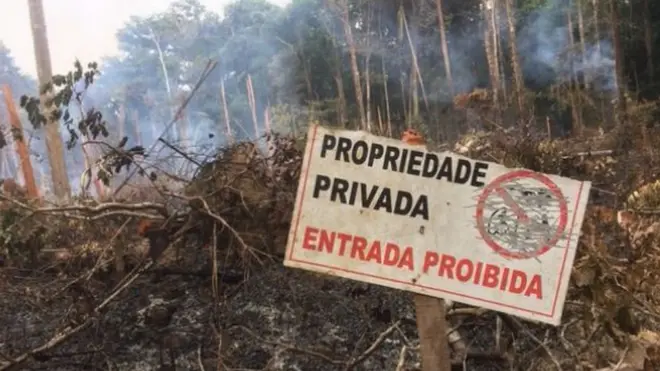 Invasores demaracarm lotes e já começaram a desmatar a regiãobet house39 mil hectares