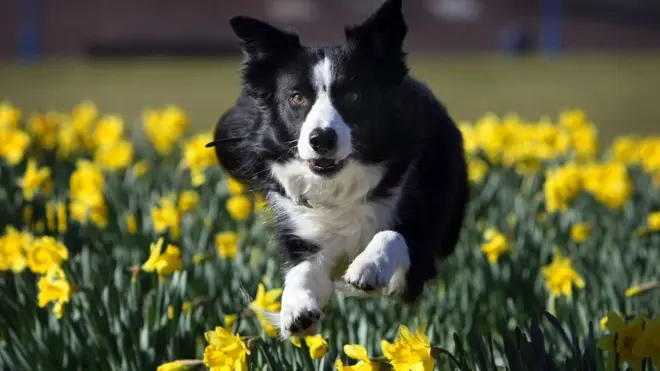 Потепління