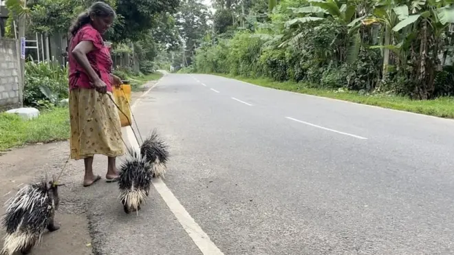 'අපි ඉත්තෑවන්ට කන්න දෙනවා. ඉත්තෑවෝ අපිට කන්න දෙනවා'