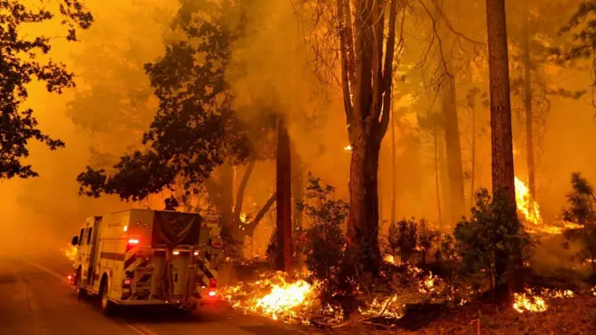 ไฟป่าแคลิฟอร์เนีย