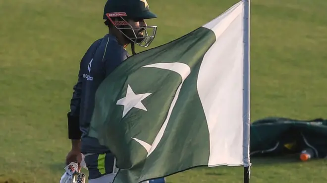 पाकिस्तान का झंडा