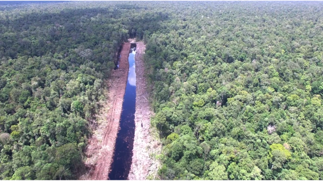 Manmade canal cuts into the peatland forest in Ketapang, West Kaliamantan