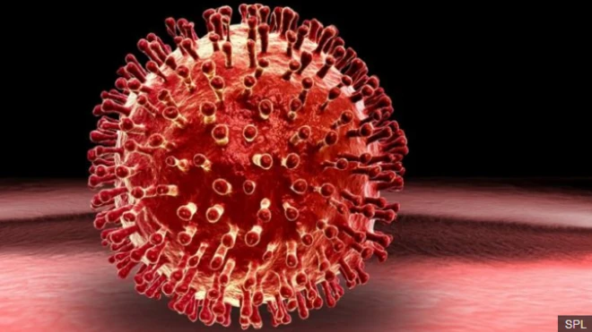 โครงสร้างของเชื้อไวรัส