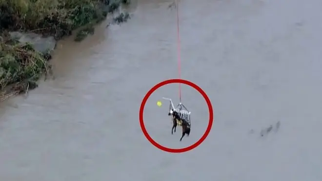 Spas za konja koji je 24 sata bio zaglavljen u reci