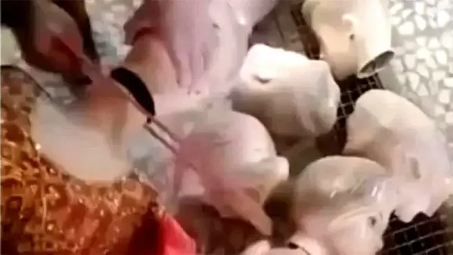 دکاندار دکانوں میں کپڑوں کی نمائش کے لیے لگے پُتلوں کی گردینں کاٹ رہے ہیں