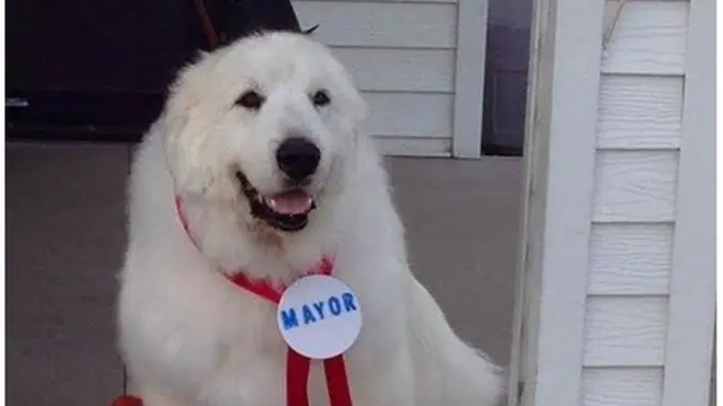 Duke alichaguliwa mara ya kwanza kuwa meya 2014