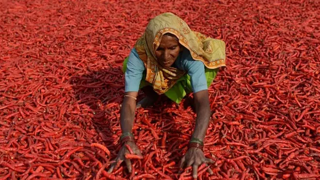 ખેડૂત મહિલા