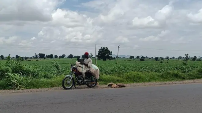 Gonakin kan hanya a babbar hanyar Zaria zuwa Sokoto 