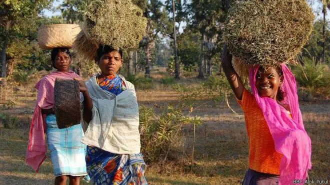 చత్తీస్‌గఢ్ గిరిజనులు