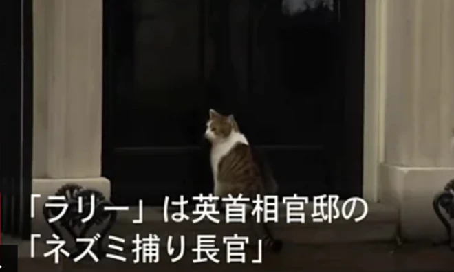 英首相官邸の玄関前に猫が座っている