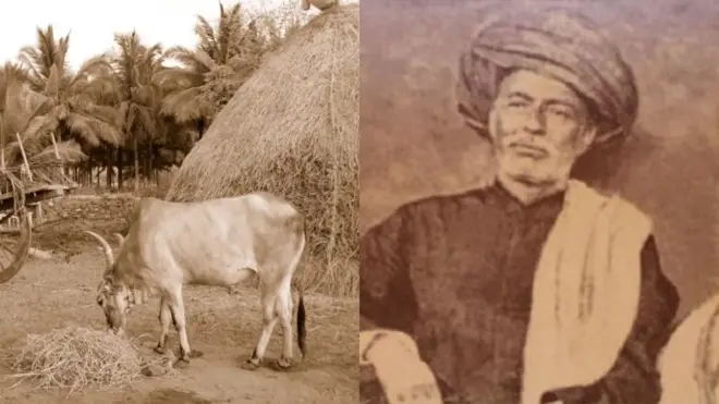 महात्मा फुलेंच्या काळात झालेल्या दख्खनच्या दंग्यांनी महाराष्ट्रातील सहकार क्षेत्राचा पाया कसा घातला? ब्लॉग