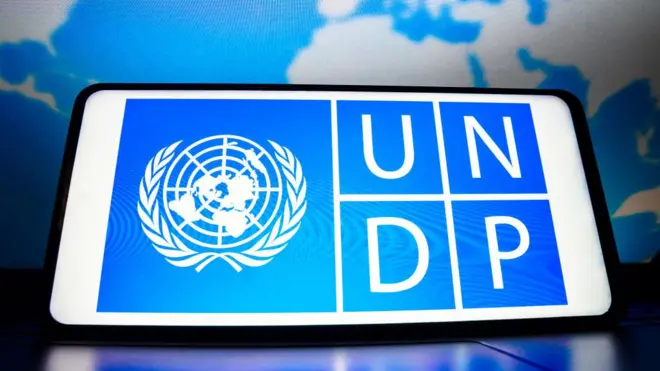 توسعه سازمان ملل متحد