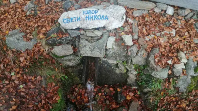 Извор Свети Никола, на Власинској висоравни, где је пронађена Боданелла лаутерборн