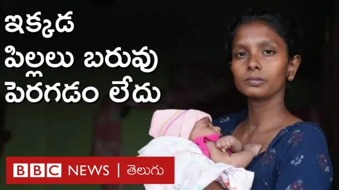 పోషకాహారం