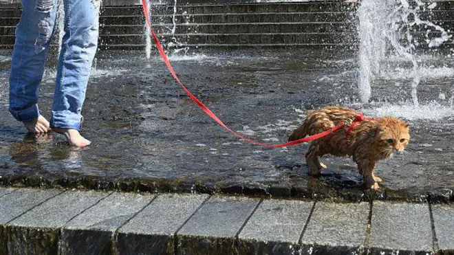 спека у місті, погода, Київ 