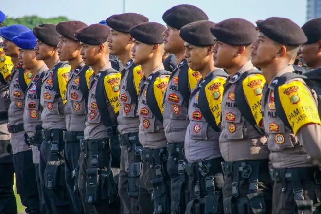 Pilkada Partai Coklat