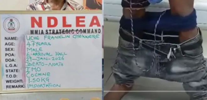 Aworan afurasi naa pẹlu patako orukọ rẹ to gbe dani, ati ṣokoto rẹ to fa si isalẹ