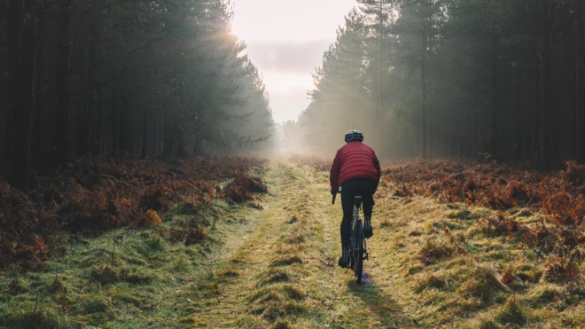 ਸਿਹਤਮੰਦ ਜੀਵਨ 