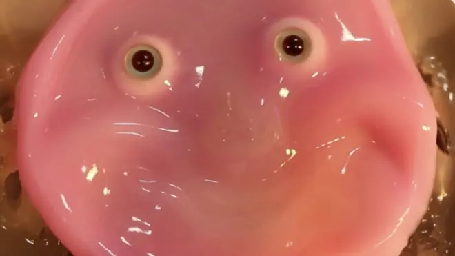 Prototipo de piel artificial que puede adherirse a un robot