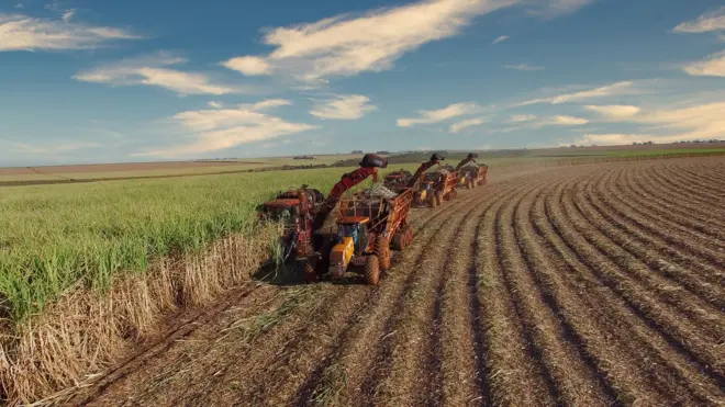 campo de plantação com máquinas para colheita